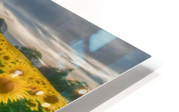 HD Sublimation Metal Print