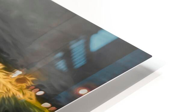 HD Sublimation Metal Print