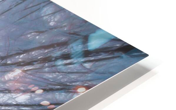 HD Sublimation Metal Print
