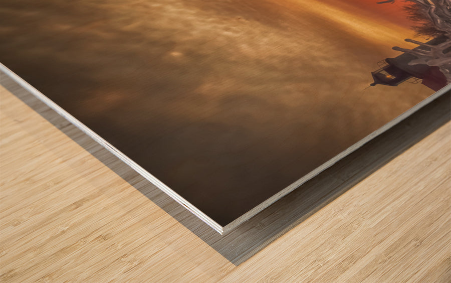 Wood Print