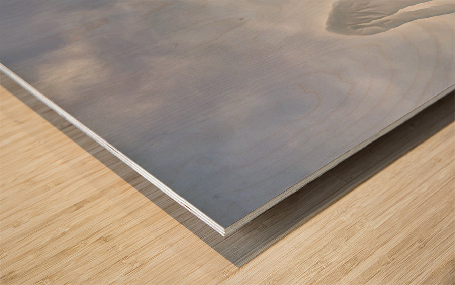 Wood Print