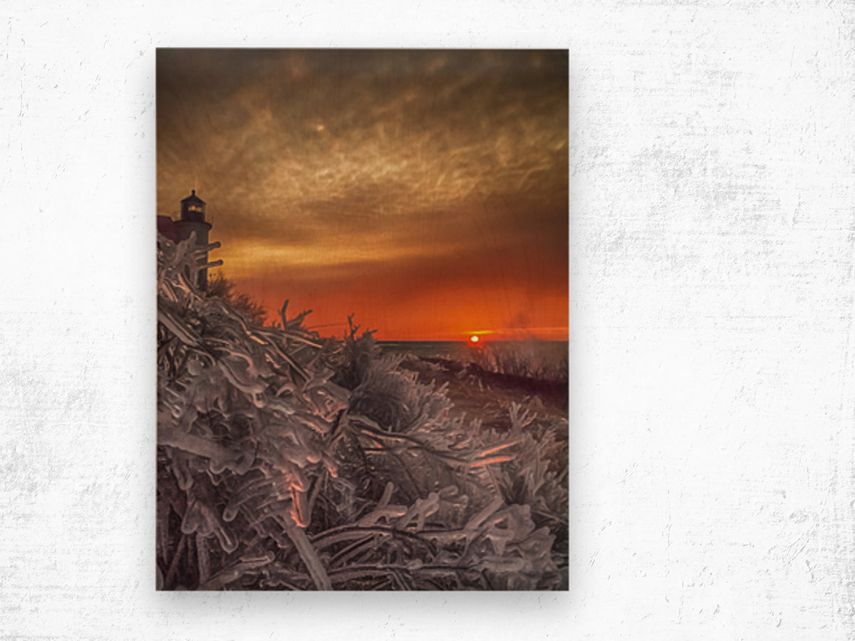 Wood Print